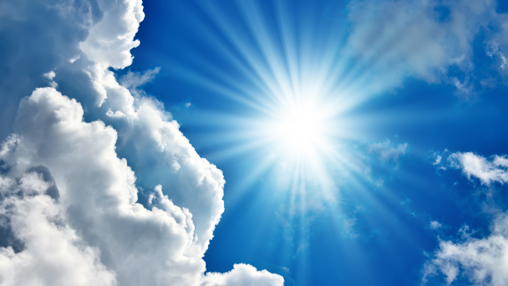 Séances de l&rsquo;après-midi