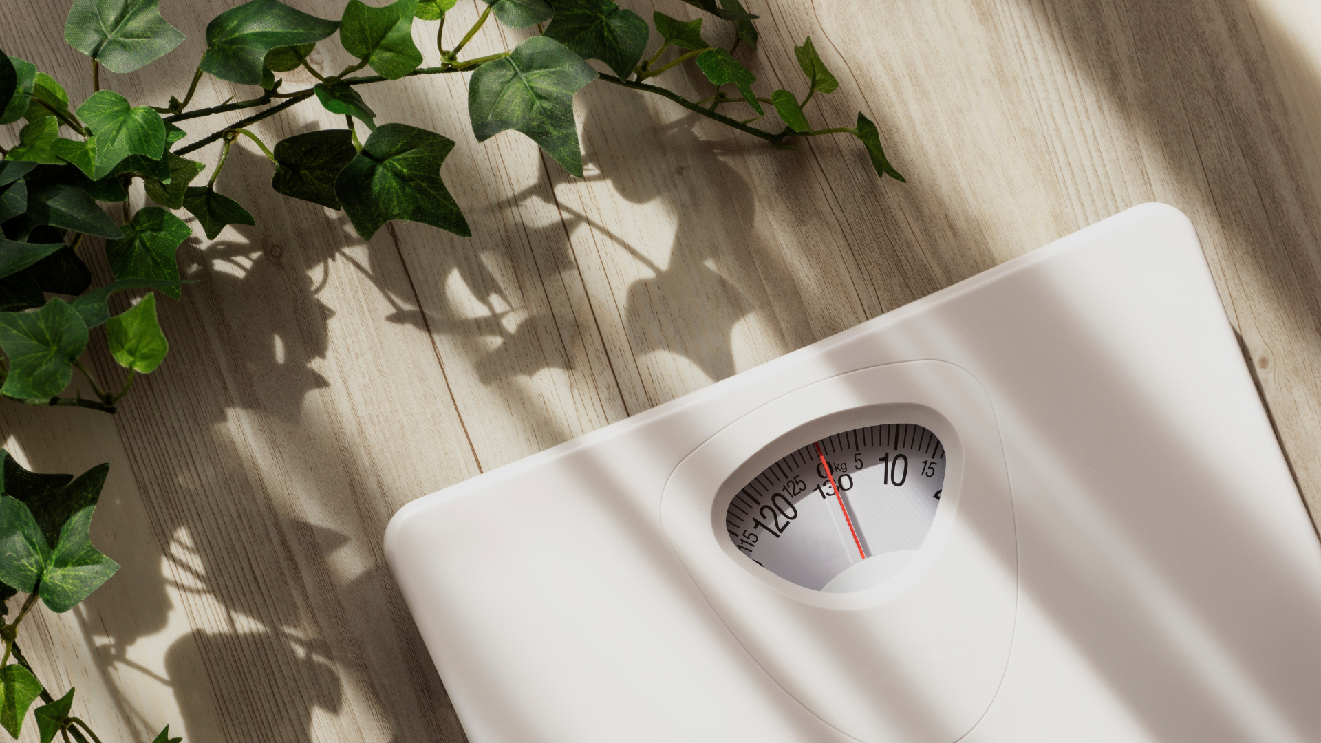 Séances du soir – Programme de Gestion du poids